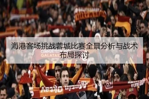 海港客场挑战蓉城比赛全景分析与战术布局探讨
